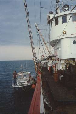 Ross Revenge & Tender
