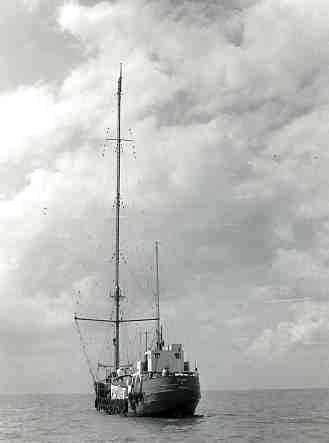 Mi-Amigo 1965