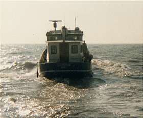 Belgium tender the Zeemeeuw