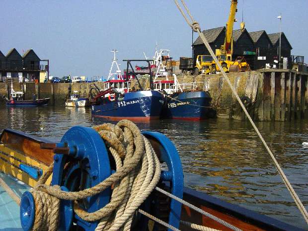 Cardium fishing boats Whitstable harbour