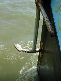 Greta anchor