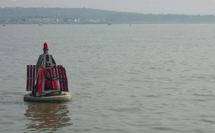 Oyster Buoy