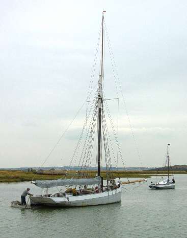 Gamecock F76 Faversham creek