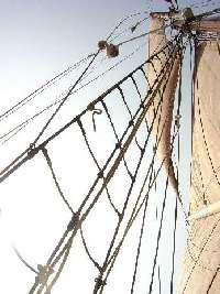 Greta rigging