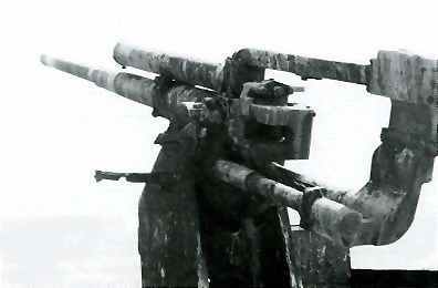 3.7 Gun in 1979