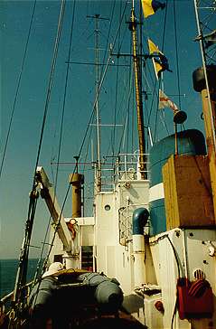 Zodiac on deck