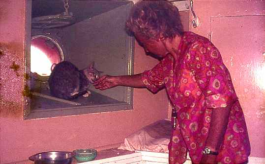 Ships cat with Piet
