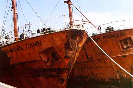 Gampian Dawn & Princess