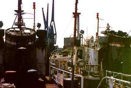 Gampians stern view