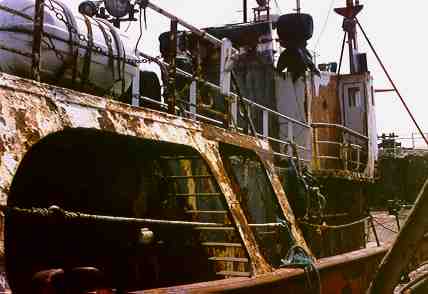 princess starboard