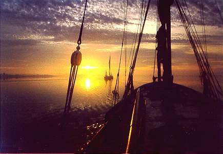 Greta sailing at sunset