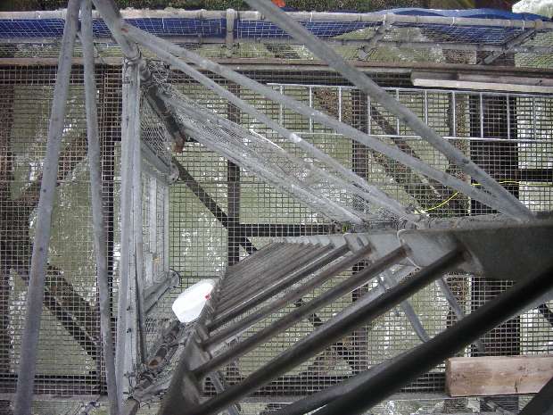Ladder Cage