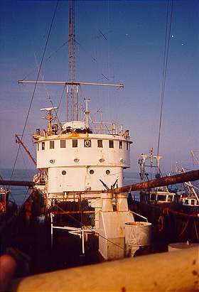Roos Revenge surrounded by tenders looking towards bridge