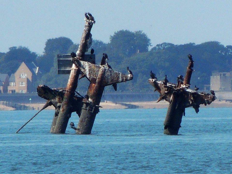 SS Montgomery September 2017