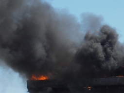 RNLI Harwich Picture 2