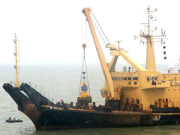 Salmaid A187