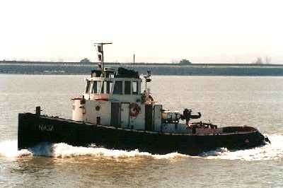 Naja on River Thames 12/5/01