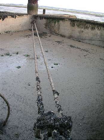 Base Ties