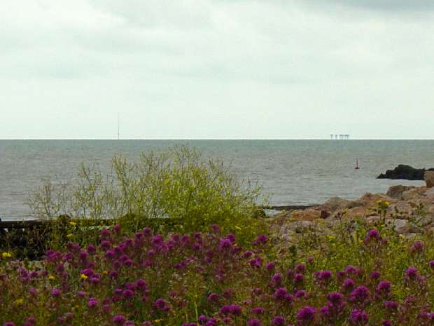 Shivering Sands from Hampton in 2003