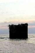 U3 HMS Tongue Fort Leg Stump 1996
